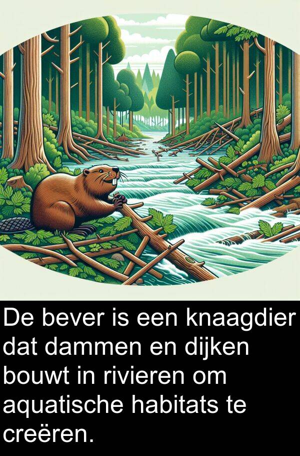 dijken: De bever is een knaagdier dat dammen en dijken bouwt in rivieren om aquatische habitats te creëren.