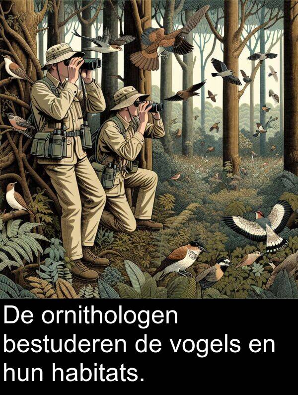 habitats: De ornithologen bestuderen de vogels en hun habitats.