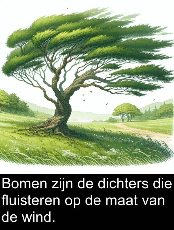 fluisteren: Bomen zijn de dichters die fluisteren op de maat van de wind.