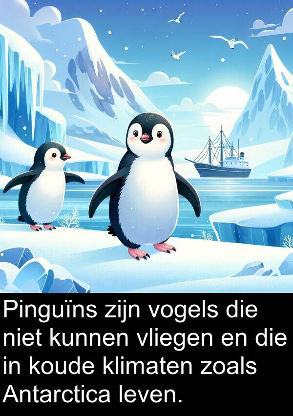 zoals: Pinguïns zijn vogels die niet kunnen vliegen en die in koude klimaten zoals Antarctica leven.