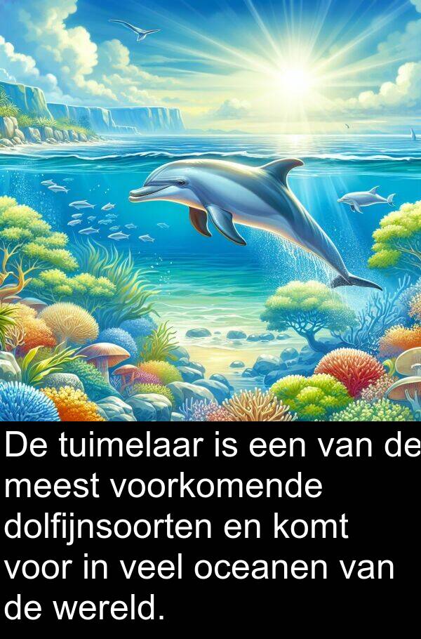 oceanen: De tuimelaar is een van de meest voorkomende dolfijnsoorten en komt voor in veel oceanen van de wereld.