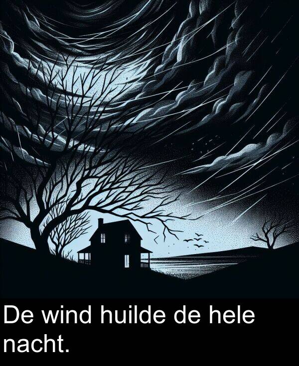 hele: De wind huilde de hele nacht.