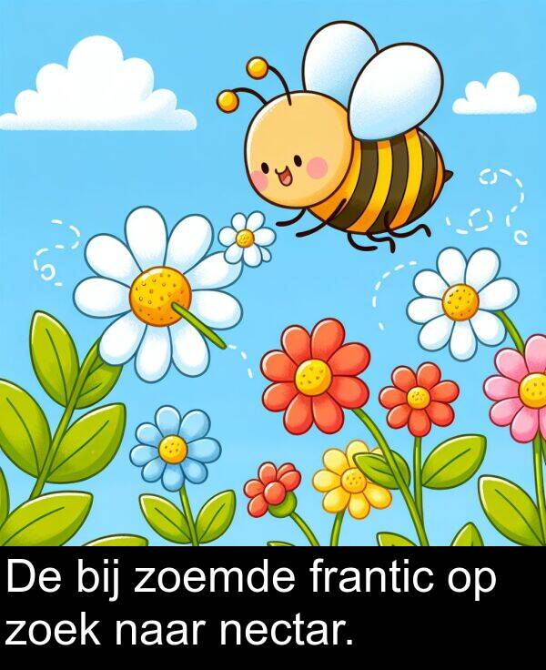 bij: De bij zoemde frantic op zoek naar nectar.