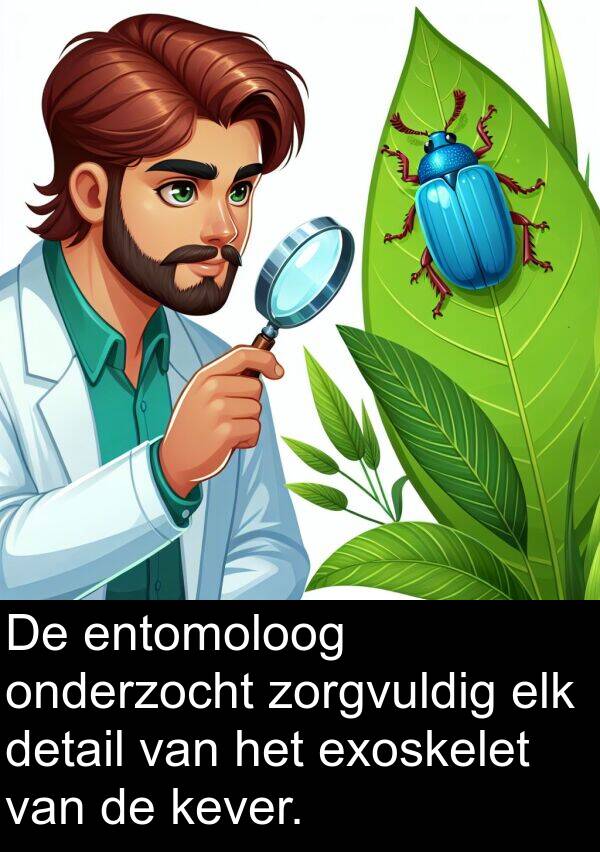 detail: De entomoloog onderzocht zorgvuldig elk detail van het exoskelet van de kever.