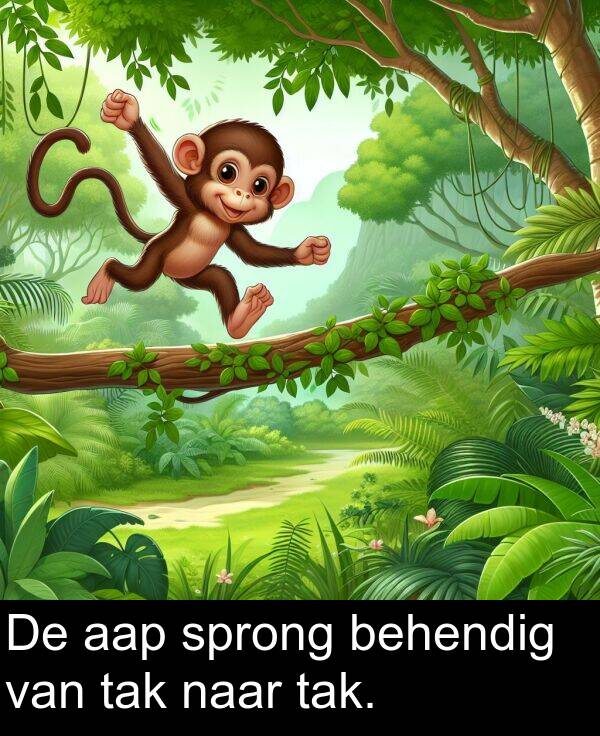 tak: De aap sprong behendig van tak naar tak.