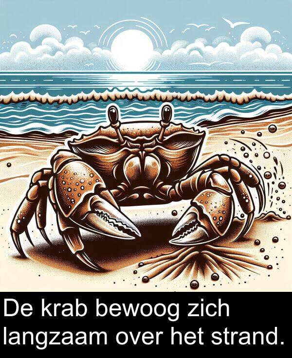 zich: De krab bewoog zich langzaam over het strand.