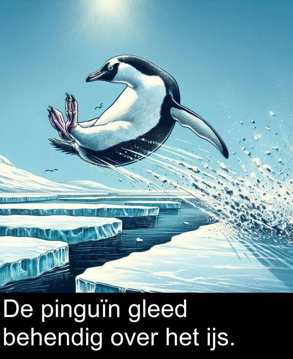 ijs: De pinguïn gleed behendig over het ijs.