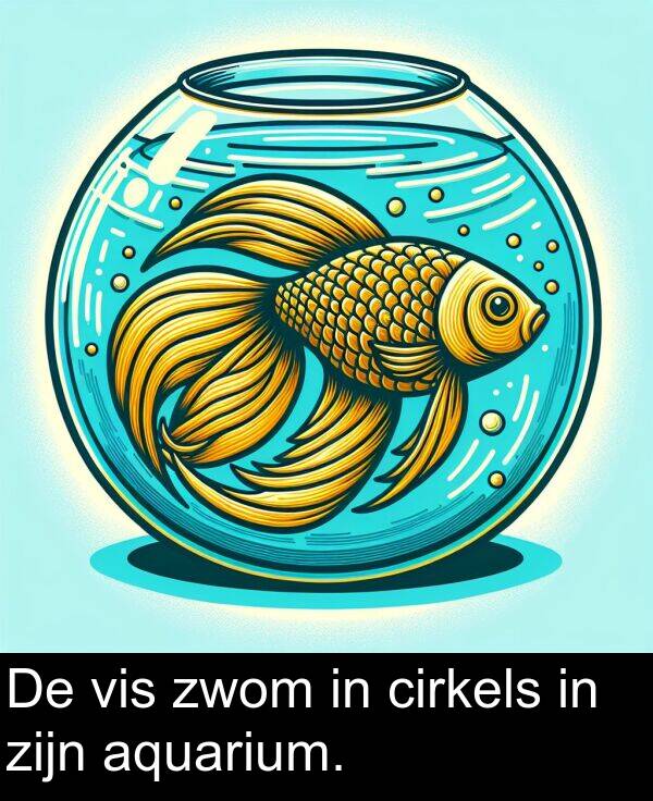 cirkels: De vis zwom in cirkels in zijn aquarium.