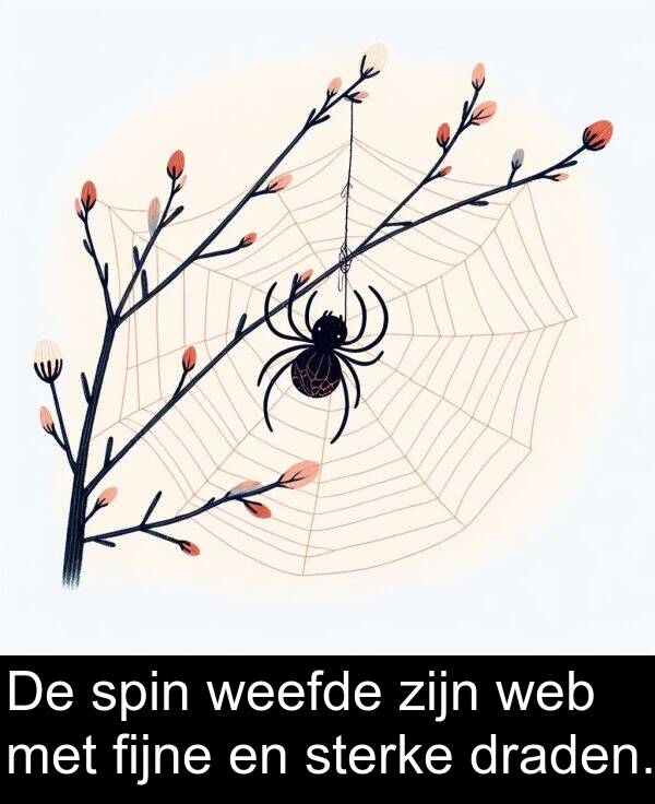 web: De spin weefde zijn web met fijne en sterke draden.