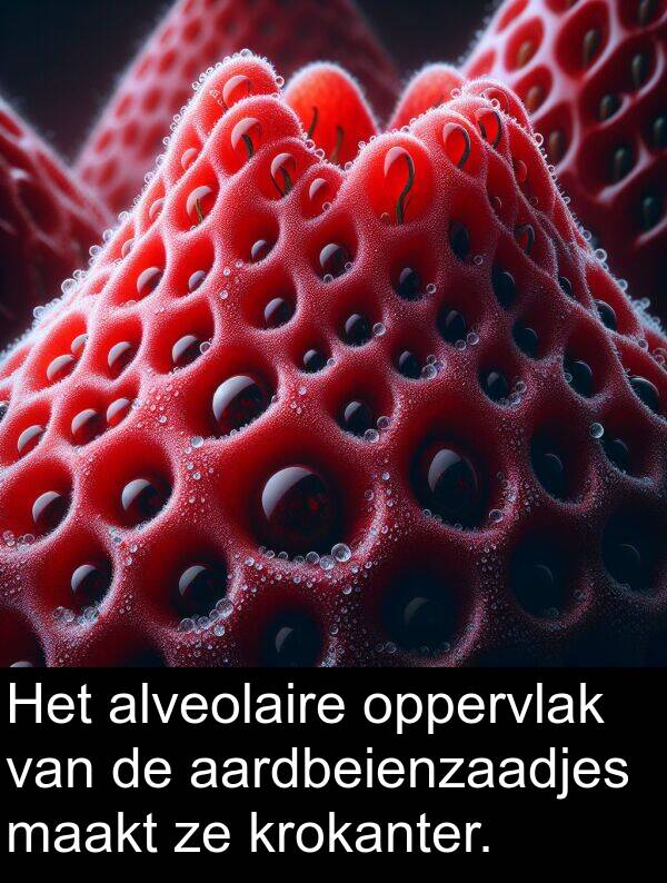 maakt: Het alveolaire oppervlak van de aardbeienzaadjes maakt ze krokanter.