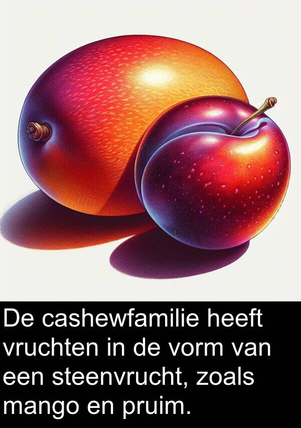 zoals: De cashewfamilie heeft vruchten in de vorm van een steenvrucht, zoals mango en pruim.