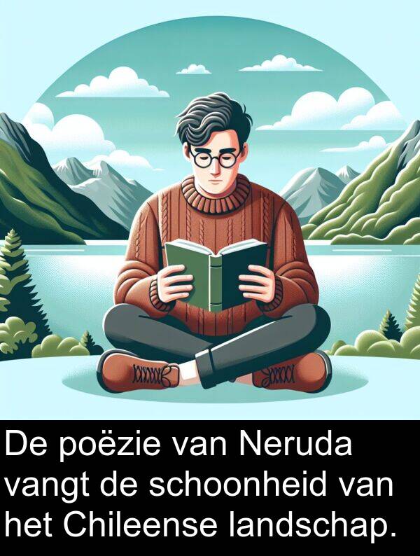 vangt: De poëzie van Neruda vangt de schoonheid van het Chileense landschap.