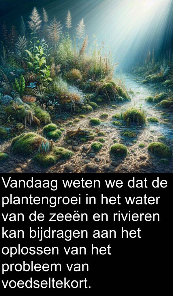 bijdragen: Vandaag weten we dat de plantengroei in het water van de zeeën en rivieren kan bijdragen aan het oplossen van het probleem van voedseltekort.