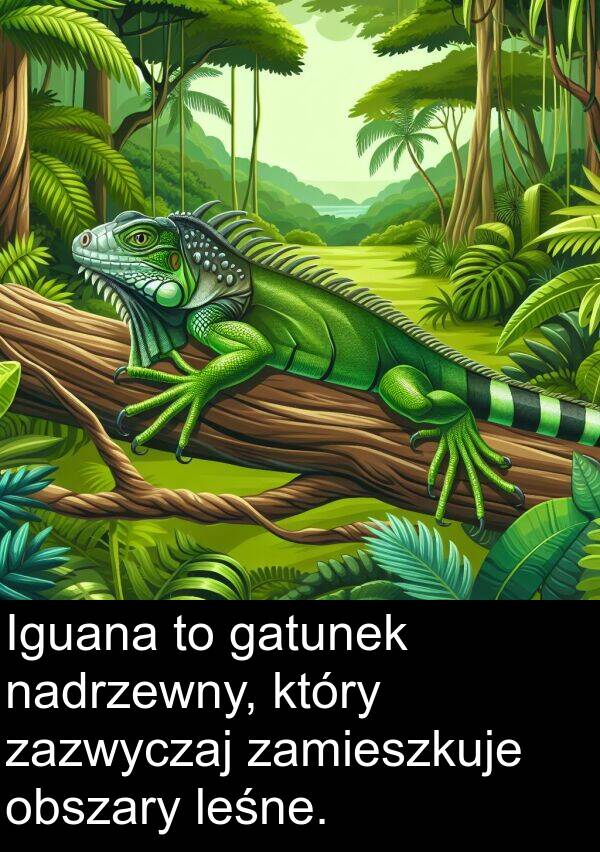 leśne: Iguana to gatunek nadrzewny, który zazwyczaj zamieszkuje obszary leśne.