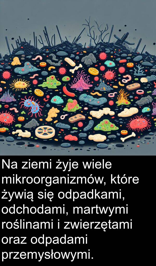 ziemi: Na ziemi żyje wiele mikroorganizmów, które żywią się odpadkami, odchodami, martwymi roślinami i zwierzętami oraz odpadami przemysłowymi.