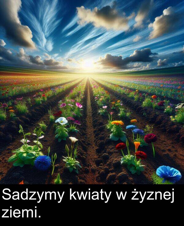 żyznej: Sadzymy kwiaty w żyznej ziemi.