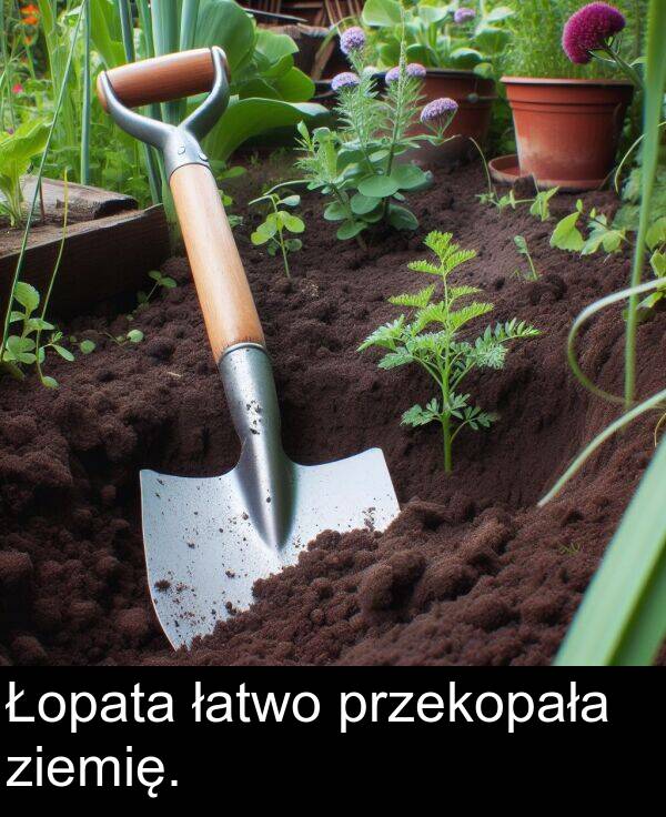 łatwo: Łopata łatwo przekopała ziemię.