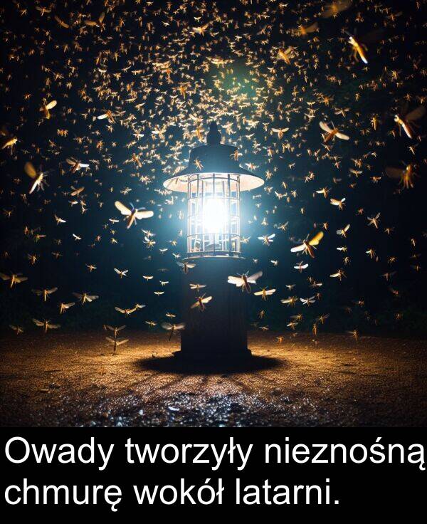 chmurę: Owady tworzyły nieznośną chmurę wokół latarni.