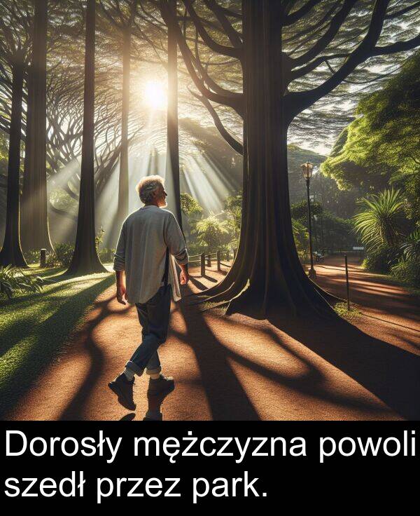 park: Dorosły mężczyzna powoli szedł przez park.