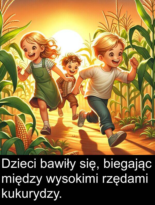 bawiły: Dzieci bawiły się, biegając między wysokimi rzędami kukurydzy.