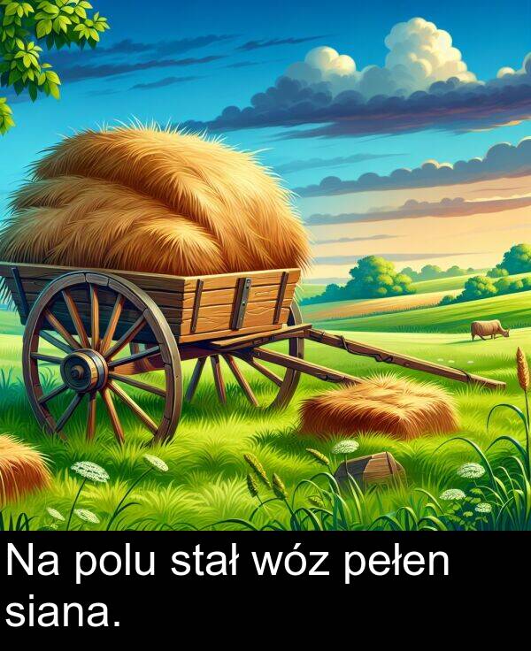 stał: Na polu stał wóz pełen siana.