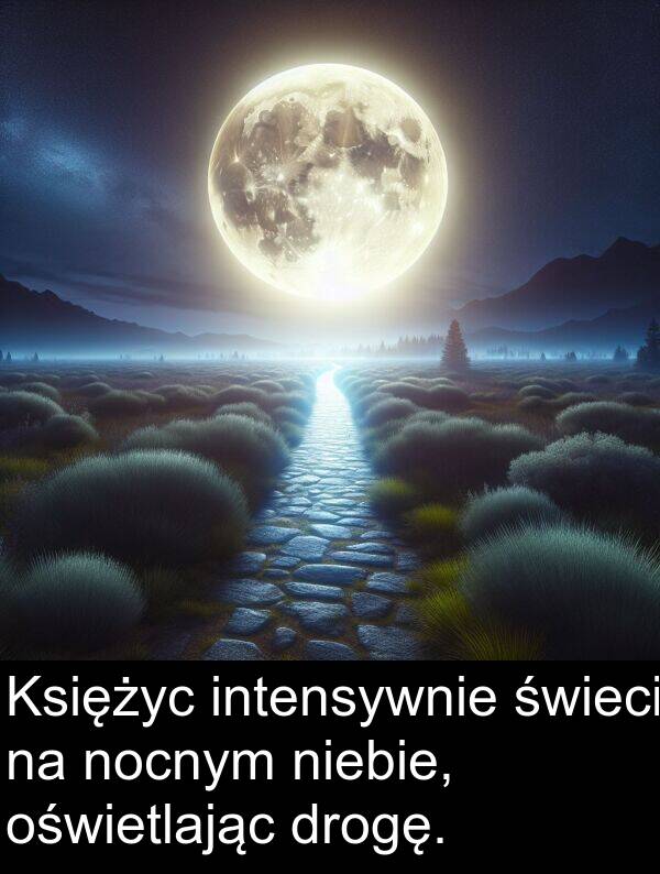 intensywnie: Księżyc intensywnie świeci na nocnym niebie, oświetlając drogę.