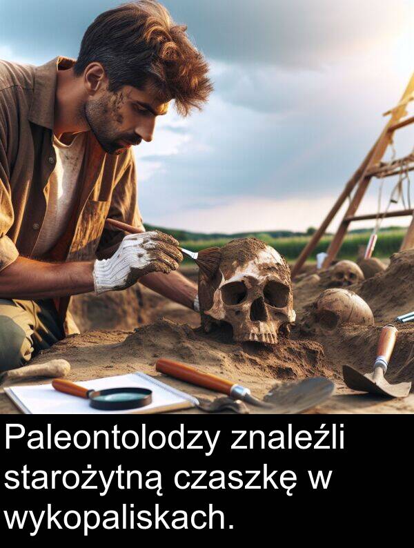 czaszkę: Paleontolodzy znaleźli starożytną czaszkę w wykopaliskach.