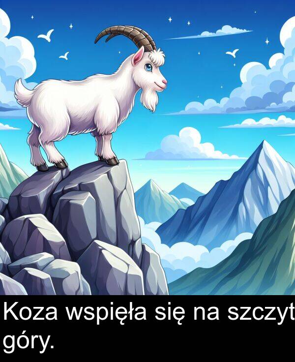 się: Koza wspięła się na szczyt góry.