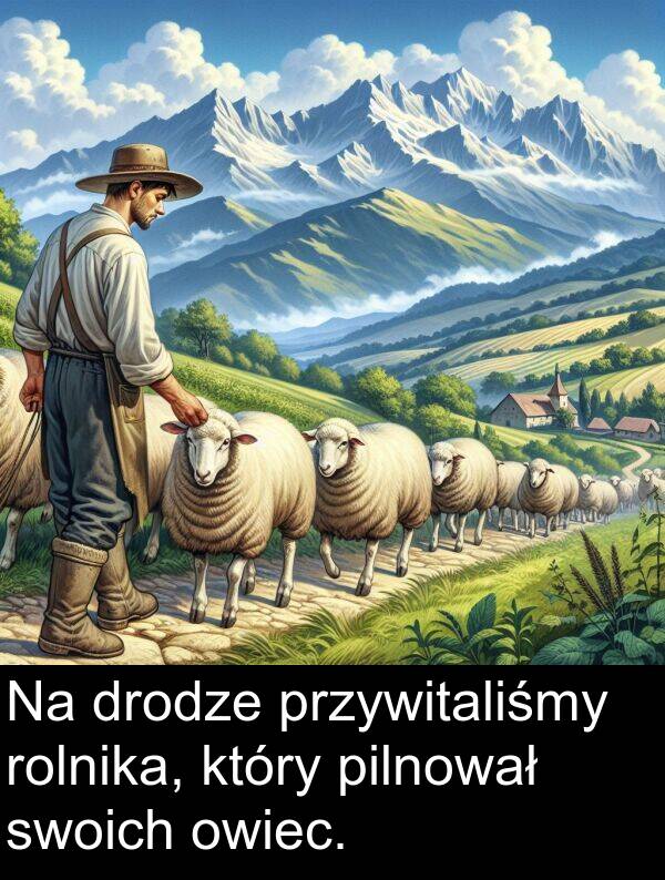 drodze: Na drodze przywitaliśmy rolnika, który pilnował swoich owiec.