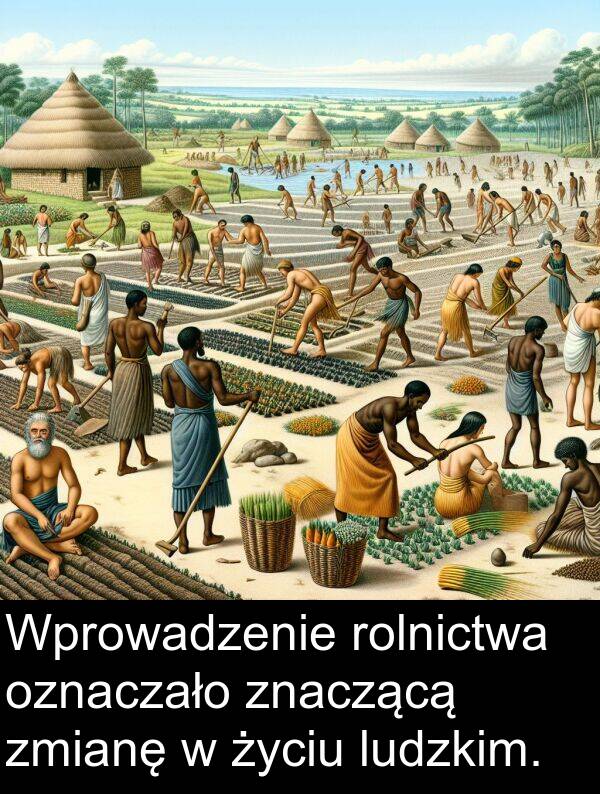 życiu: Wprowadzenie rolnictwa oznaczało znaczącą zmianę w życiu ludzkim.