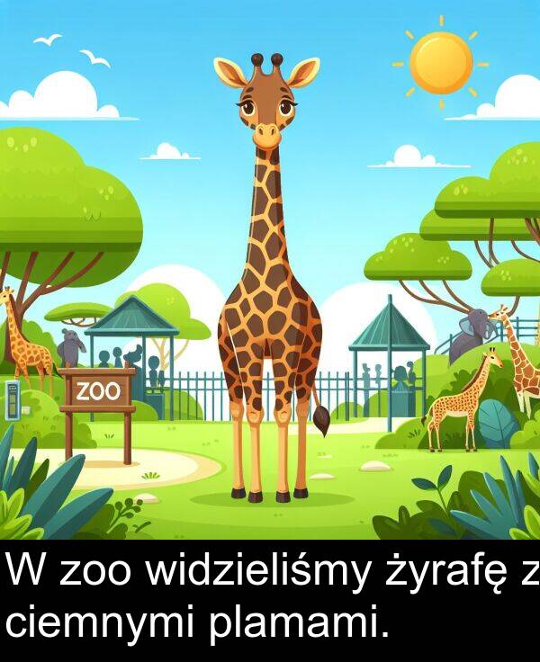 widzieliśmy: W zoo widzieliśmy żyrafę z ciemnymi plamami.