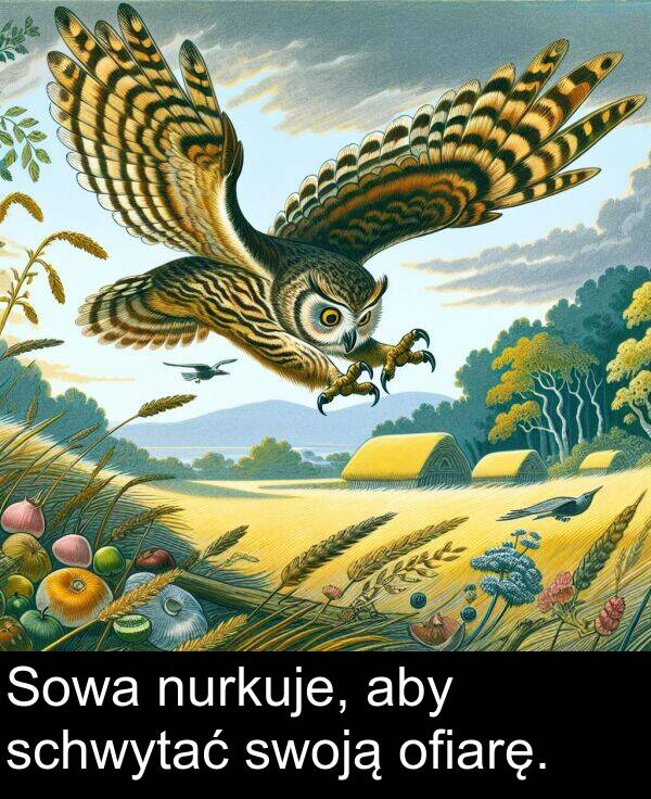 aby: Sowa nurkuje, aby schwytać swoją ofiarę.