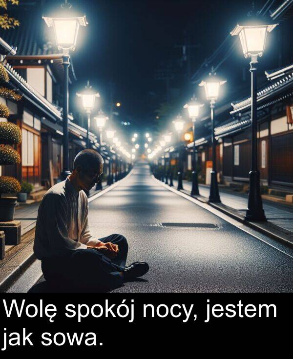 jak: Wolę spokój nocy, jestem jak sowa.