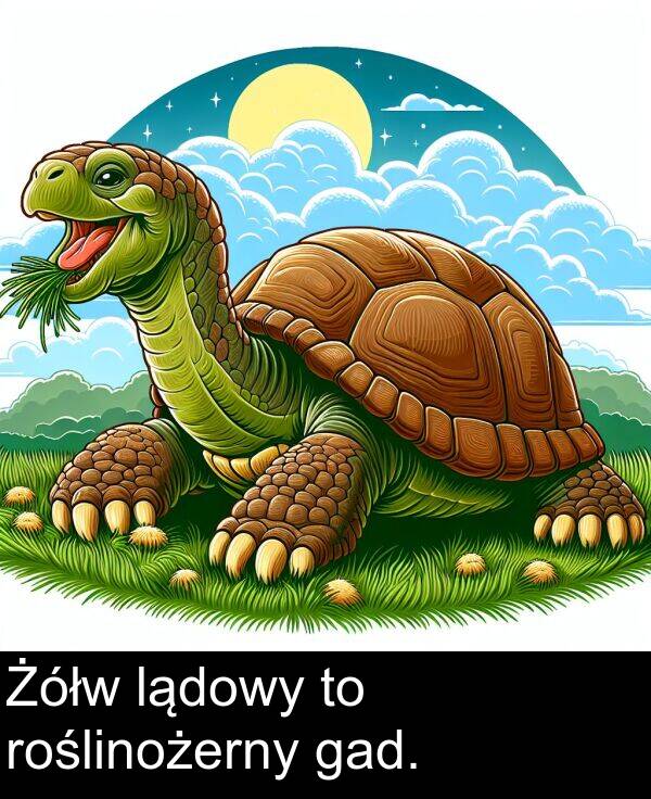 gad: Żółw lądowy to roślinożerny gad.