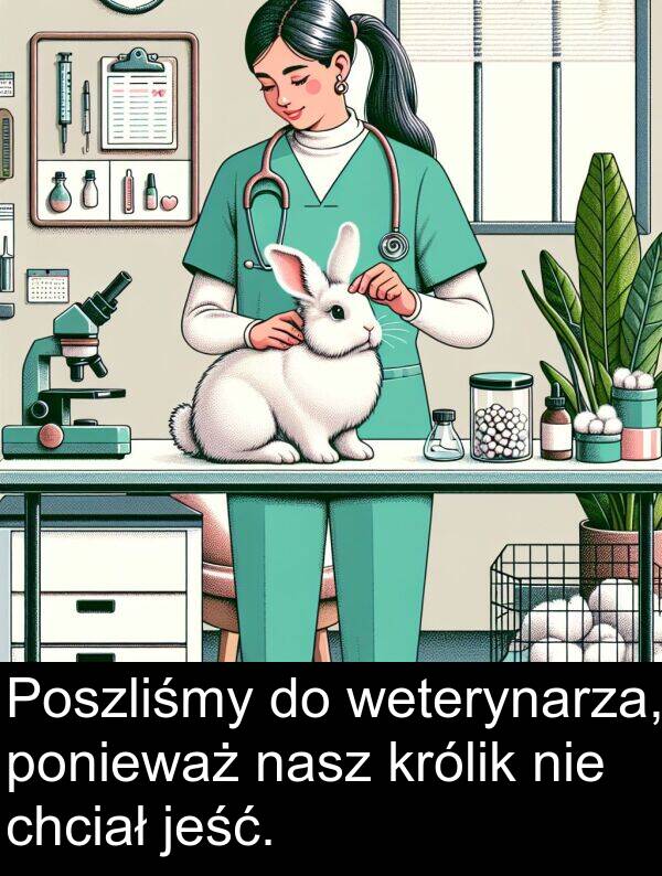 jeść: Poszliśmy do weterynarza, ponieważ nasz królik nie chciał jeść.