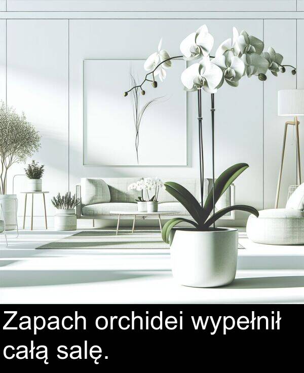 całą: Zapach orchidei wypełnił całą salę.