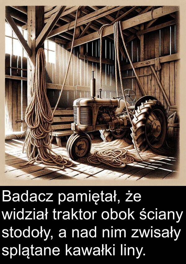 liny: Badacz pamiętał, że widział traktor obok ściany stodoły, a nad nim zwisały splątane kawałki liny.