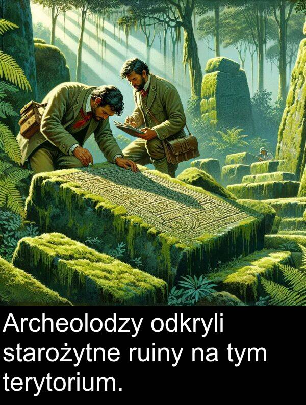 terytorium: Archeolodzy odkryli starożytne ruiny na tym terytorium.