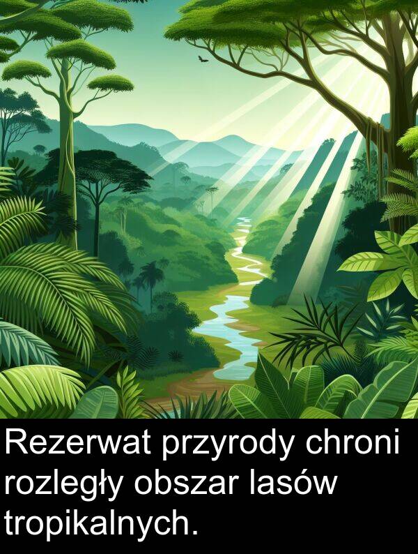 lasów: Rezerwat przyrody chroni rozległy obszar lasów tropikalnych.