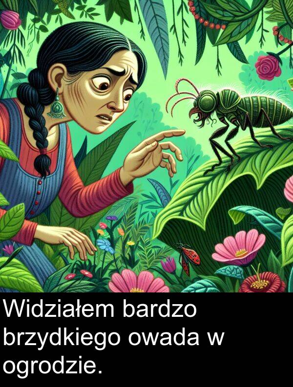 bardzo: Widziałem bardzo brzydkiego owada w ogrodzie.