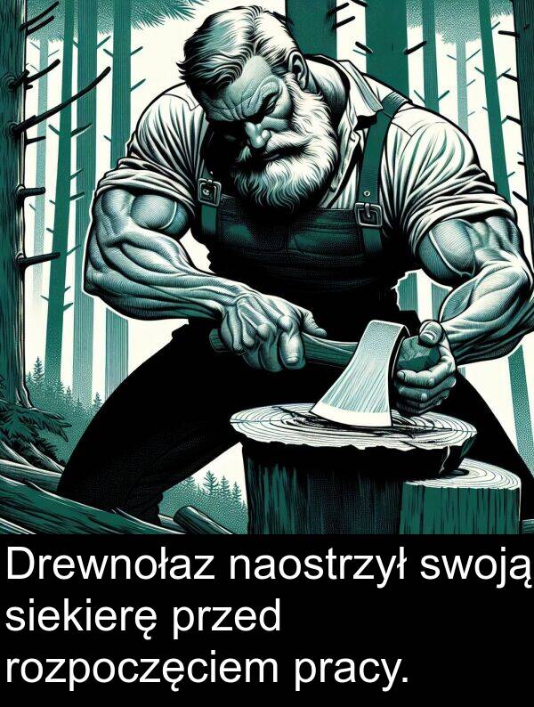 naostrzył: Drewnołaz naostrzył swoją siekierę przed rozpoczęciem pracy.