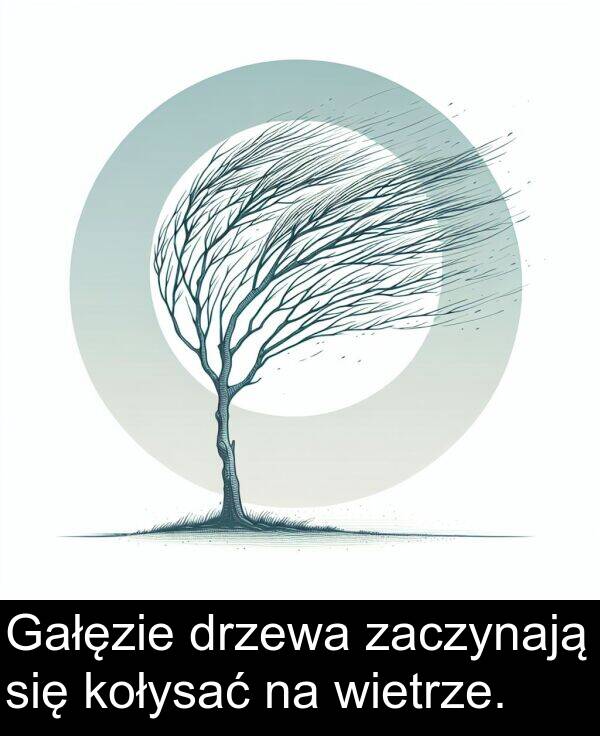 zaczynają: Gałęzie drzewa zaczynają się kołysać na wietrze.