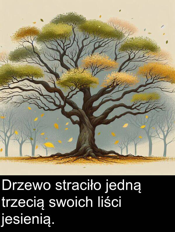 jesienią: Drzewo straciło jedną trzecią swoich liści jesienią.