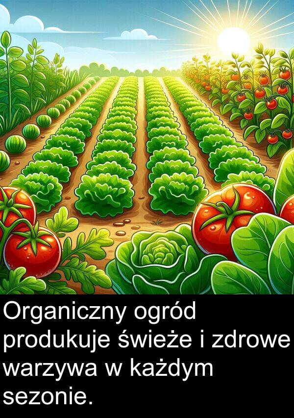 każdym: Organiczny ogród produkuje świeże i zdrowe warzywa w każdym sezonie.