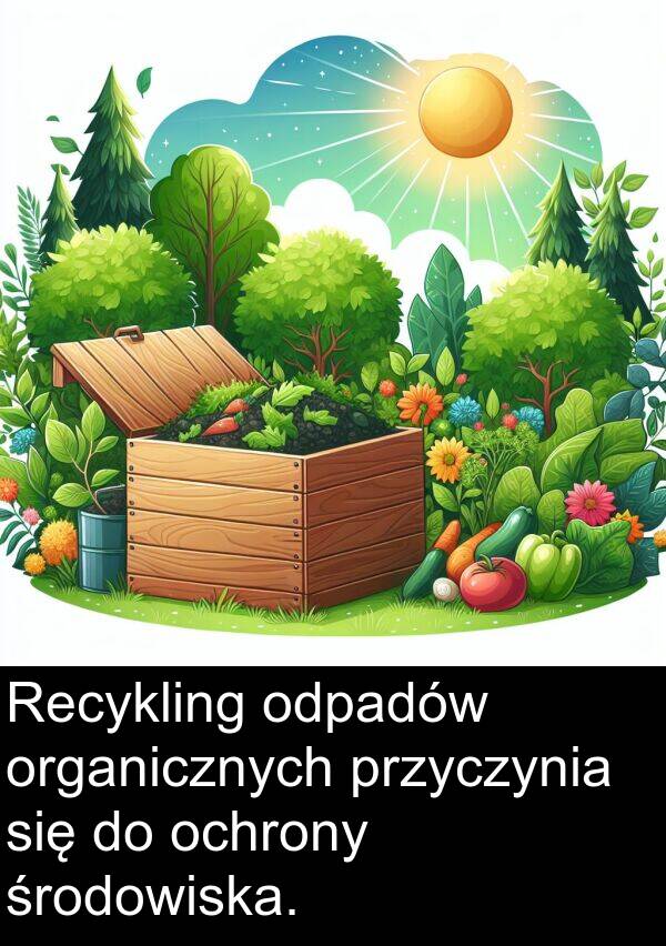 przyczynia: Recykling odpadów organicznych przyczynia się do ochrony środowiska.