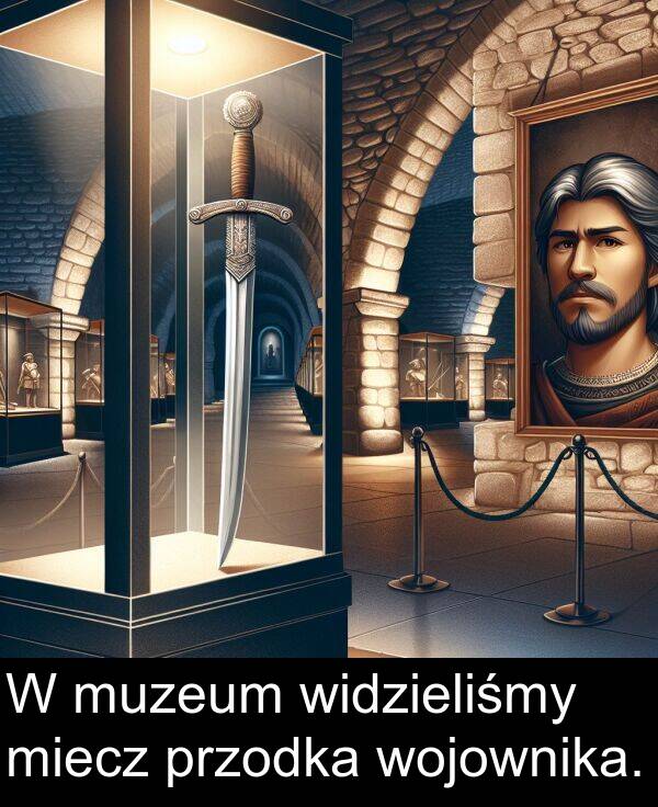 widzieliśmy: W muzeum widzieliśmy miecz przodka wojownika.