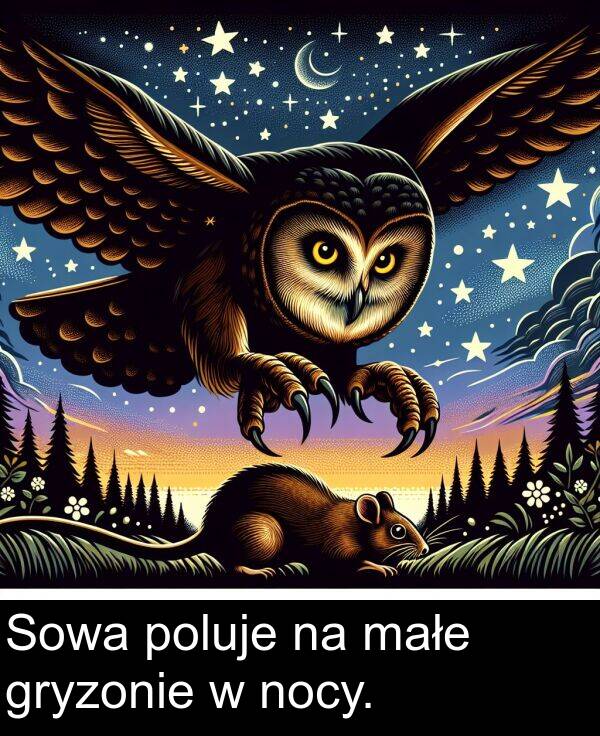 małe: Sowa poluje na małe gryzonie w nocy.