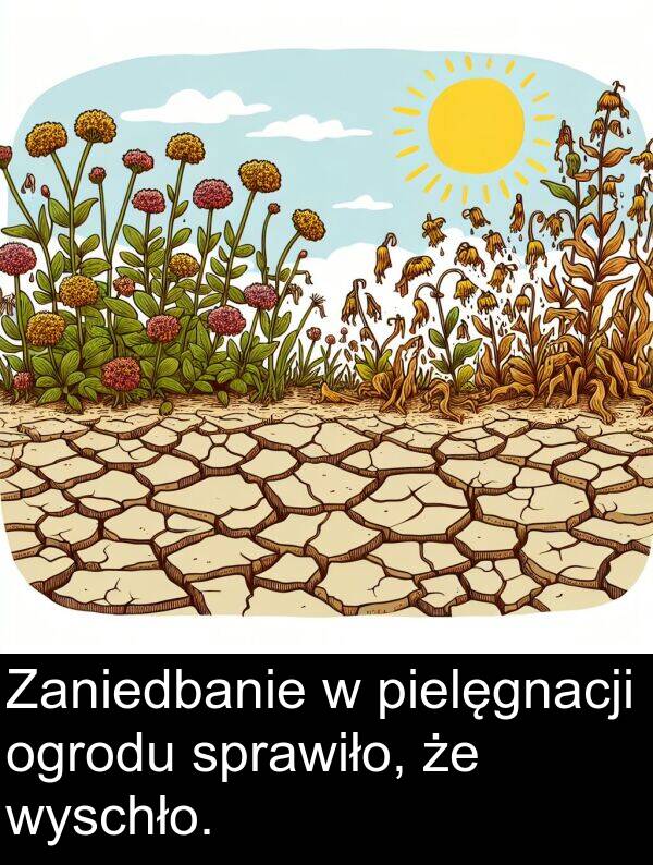 pielęgnacji: Zaniedbanie w pielęgnacji ogrodu sprawiło, że wyschło.