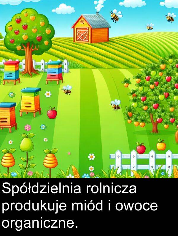 miód: Spółdzielnia rolnicza produkuje miód i owoce organiczne.