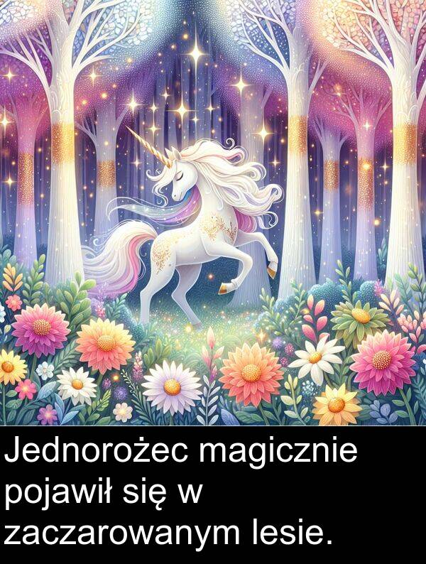 lesie: Jednorożec magicznie pojawił się w zaczarowanym lesie.